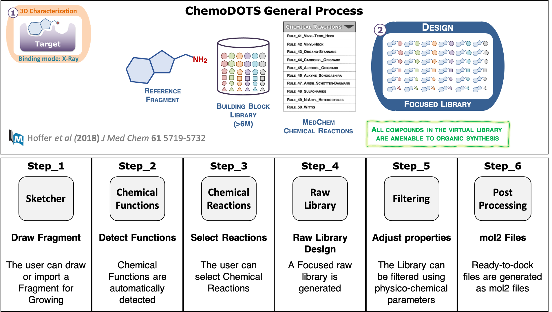 ChemoDOTS Workflow